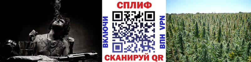 Где продают наркотики Калининград Конопля  Alpha-PVP  КОКАИН  ГАШИШ  Псилоцибиновые грибы  МЕГА как войти  Меф мяу мяу 