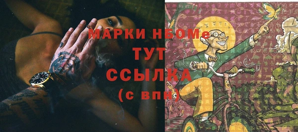 гидропоника Горнозаводск