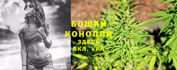 гидропоника Горнозаводск