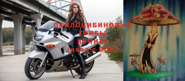 винт Горняк